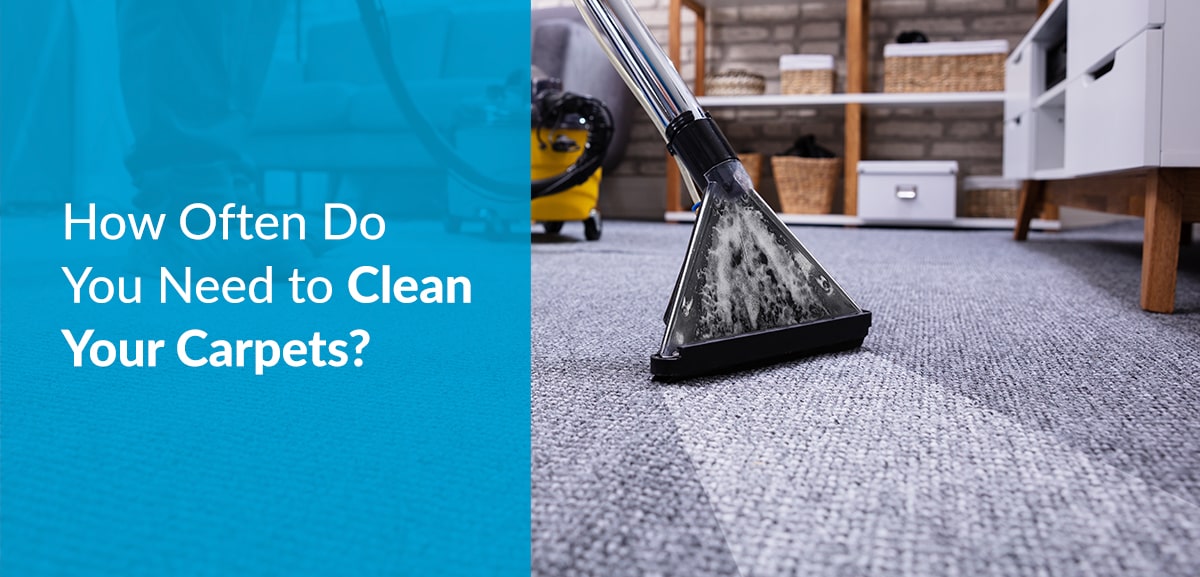 How Often Do You Need to Clean Your Carpets? Corporate Clean Services